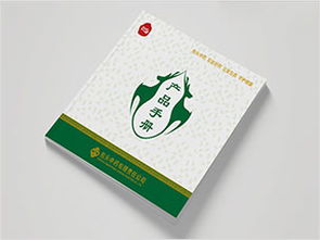 国家电网能源研究院画册设计 西风东韵的能源未来图景